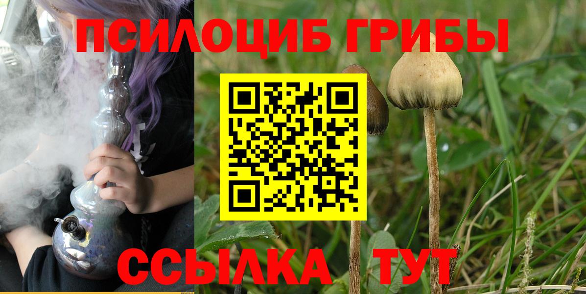 Мытищи  Галлюциногенные грибы мухоморы  Вход с VPN  Галлюциногенные грибы мицелий 